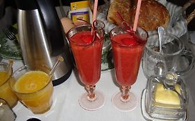 Bed&breakfast De Zwanebloem